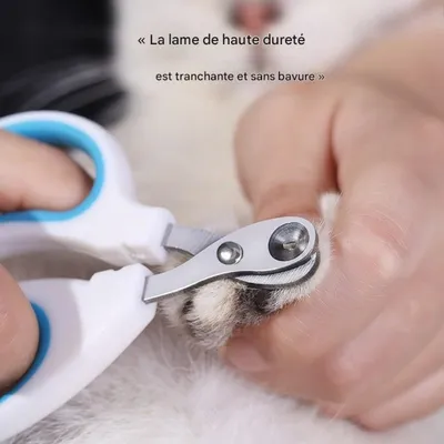 Petopia Coupe-griffes pour chat