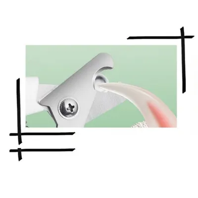 IntiMeg Kit de soin pour chat (peigne + ciseaux + fichier)