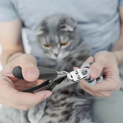 IntiMeg Ciseaux à griffes pour animaux