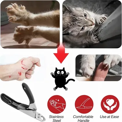 IntiMeg Ciseaux à griffes pour animaux