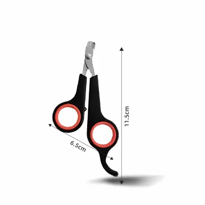 Petopia Coupe - griffes Classic