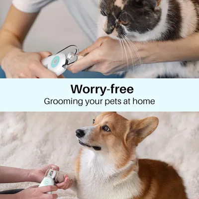 Coupe - ongles pour animaux de compagnie