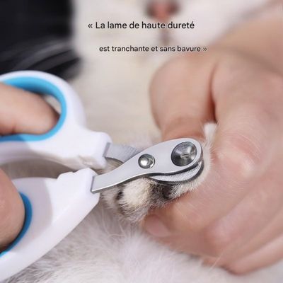 Petopia Coupe-griffes pour chat