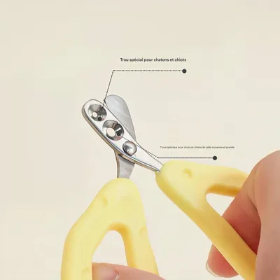 FurryFusion Ciseaux à griffes de chat Cheese