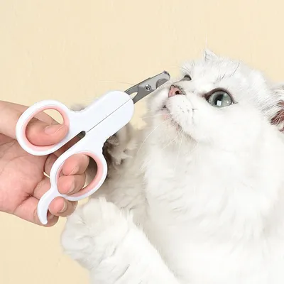 Petopia Clippeuse de griffes pour chat et chien
