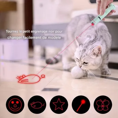 Pet Planet Chats LaserFun Jouet Laser