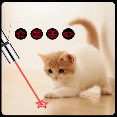 Pet Planet Baton laser pour divertir les chats