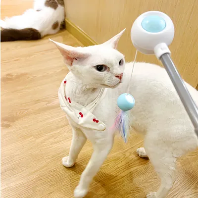 Petopia Jouet à plumes pour chat
