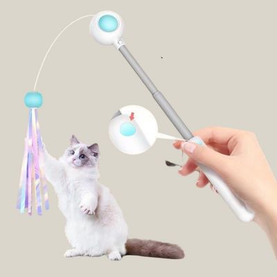 Petopia Jouet à plumes pour chat