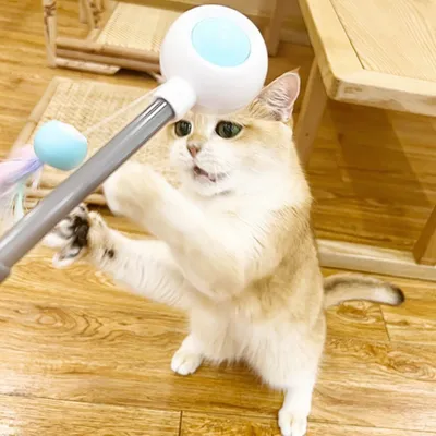 Petopia Jouet à plumes pour chat