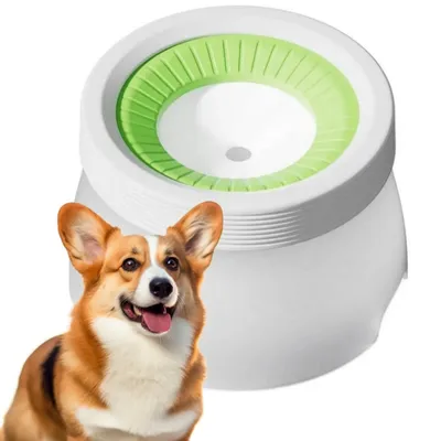 Petopia Gamelle anti - éclaboussures et anti - débordement pour animaux