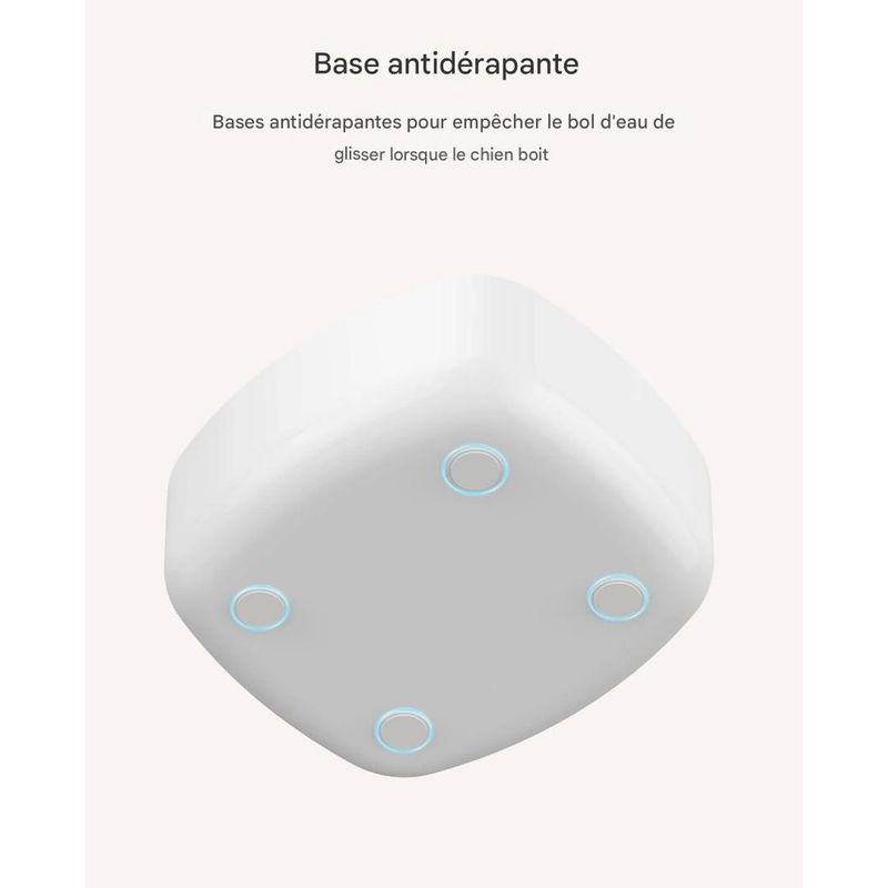 IntiMeg Gamelle d'eau anti - éclaboussure pour chien