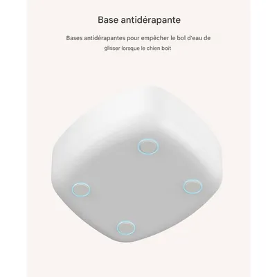 IntiMeg Gamelle d'eau anti - éclaboussure pour chien