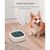 IntiMeg Gamelle d'eau anti - éclaboussure pour chien