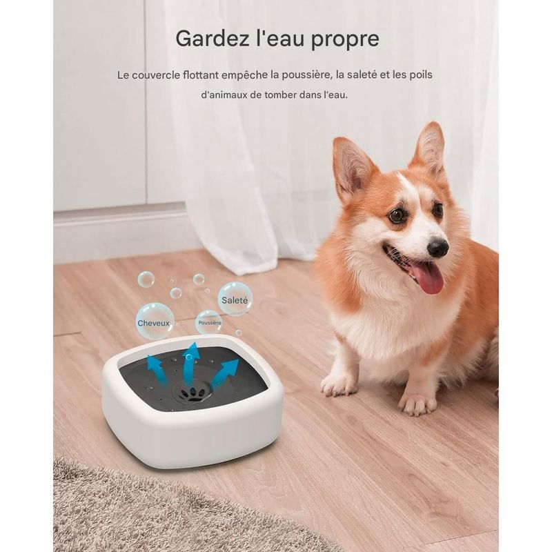 IntiMeg Gamelle d'eau anti - éclaboussure pour chien