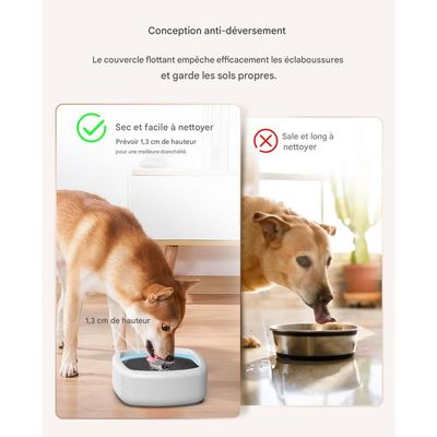 IntiMeg Spritzfreier Wassernapf für Hunde