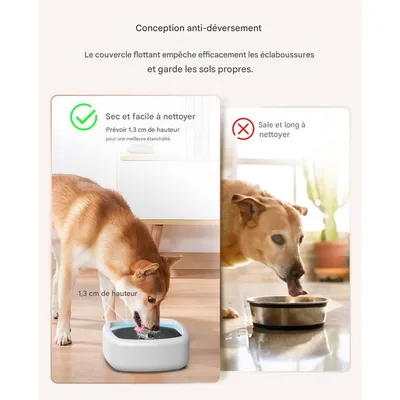 IntiMeg Bebedero para perros antisalpicaduras
