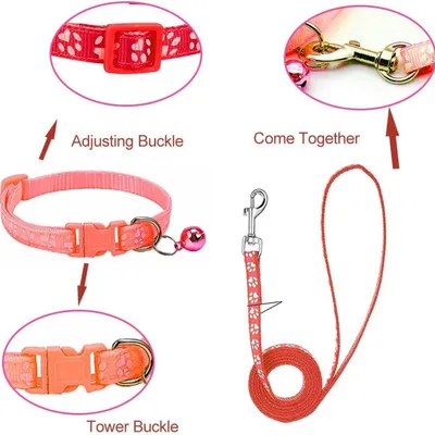 Petopia Ensemble collier et laisse pour petit chien