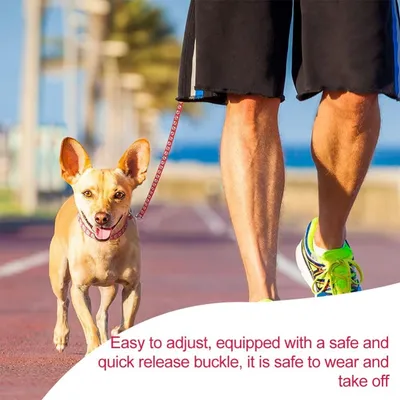 Petopia Ensemble collier et laisse pour petit chien