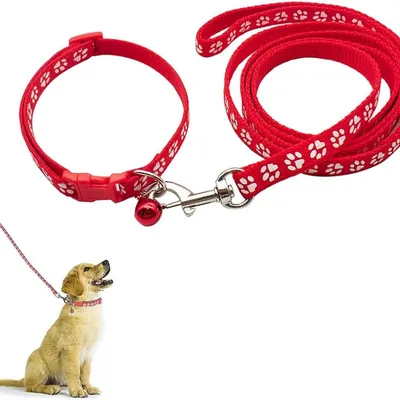 Petopia Ensemble collier et laisse pour petit chien Petopia Ensemble collier et laisse pour petit chien