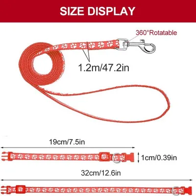 Petopia Ensemble collier et laisse pour petit chien