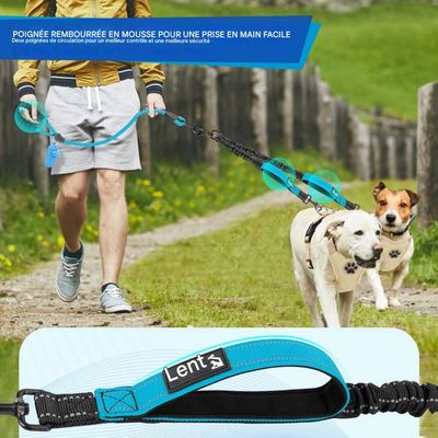 Petopia  Laisse double pour chien