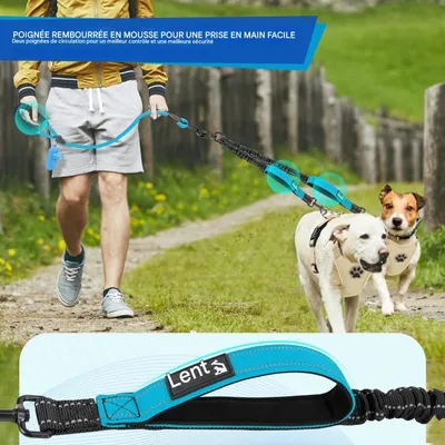 Petopia  Laisse double pour chien