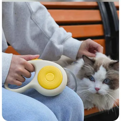 Petopia Laisse rétractable pour chien