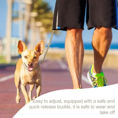 Petopia Ensemble collier et laisse pour petit chien