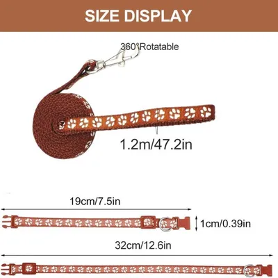 Petopia Ensemble collier et laisse pour petit chien