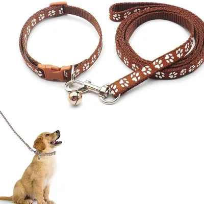 Petopia Ensemble collier et laisse pour petit chien