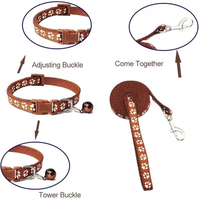 Petopia Ensemble collier et laisse pour petit chien