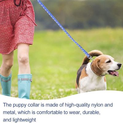 Petopia Ensemble collier et laisse pour petit chien