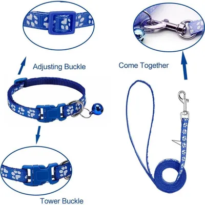 Petopia Ensemble collier et laisse pour petit chien