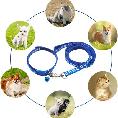 Petopia Ensemble collier et laisse pour petit chien