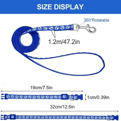 Petopia Ensemble collier et laisse pour petit chien