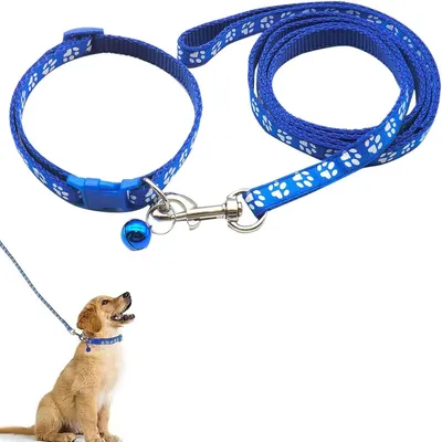 Petopia Ensemble collier et laisse pour petit chien Petopia Ensemble collier et laisse pour petit chien