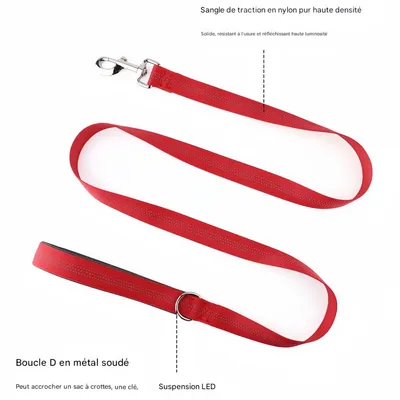 Petopia  Laisse pour chien avec bande réfléchissante