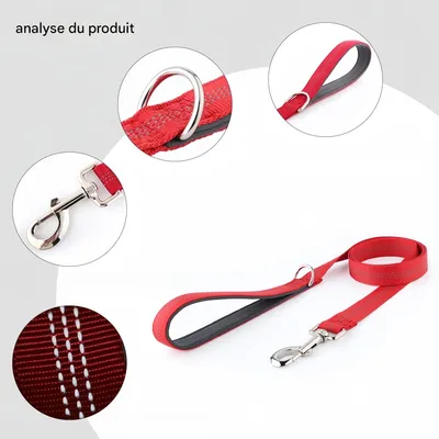 Petopia  Laisse pour chien avec bande réfléchissante