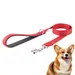 Petopia  Laisse pour chien avec bande réfléchissante
