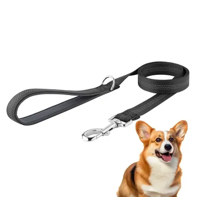 Petopia  Laisse pour chien avec bande réfléchissante