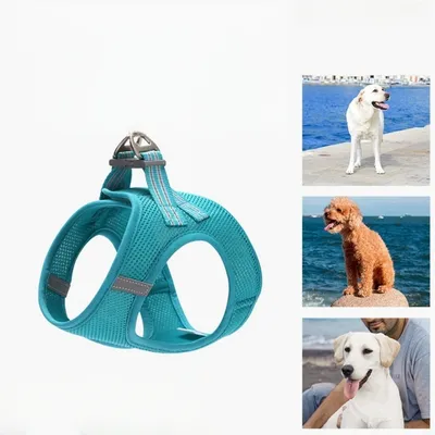 Petopia Harnais en maille pour chien