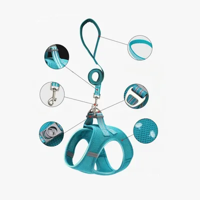 Petopia Harnais en maille pour chien