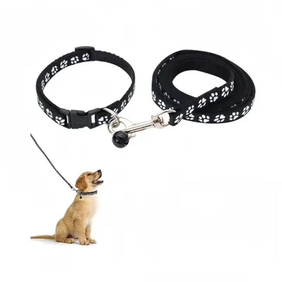 Petopia Ensemble collier et laisse pour petit chien