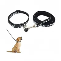 Petopia Ensemble collier et laisse pour petit chien