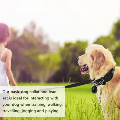 Petopia Ensemble collier et laisse pour petit chien