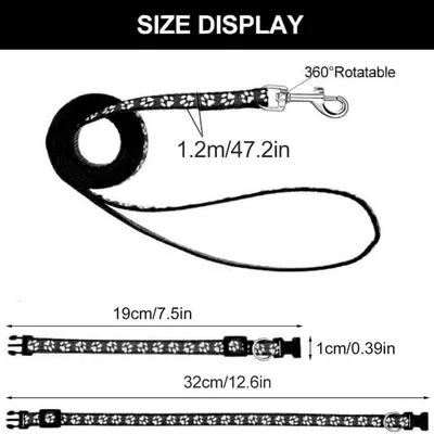Petopia Ensemble collier et laisse pour petit chien