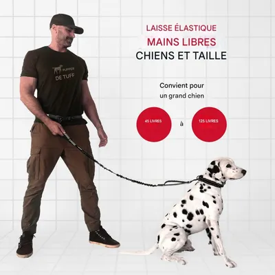 Petopia  Laisse pour chien mains libres