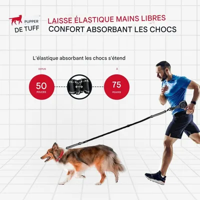 Petopia  Laisse pour chien mains libres