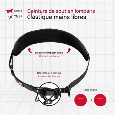 Petopia  Laisse pour chien mains libres